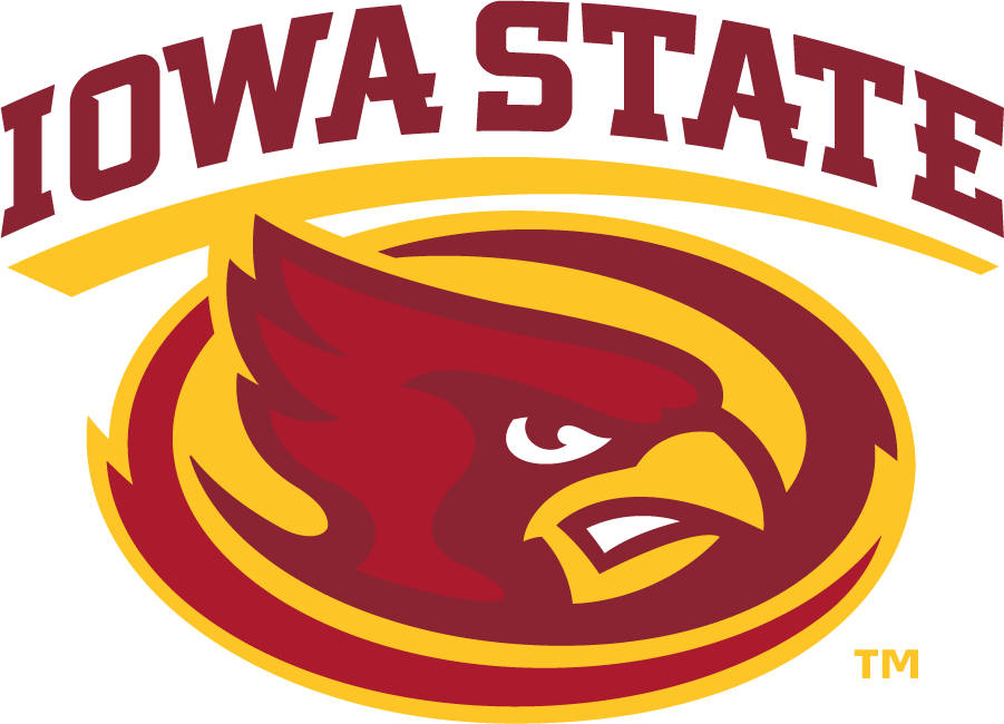 Iowa State Cyclones 2008-Pres Secondary Logo diy DTF decal sticker